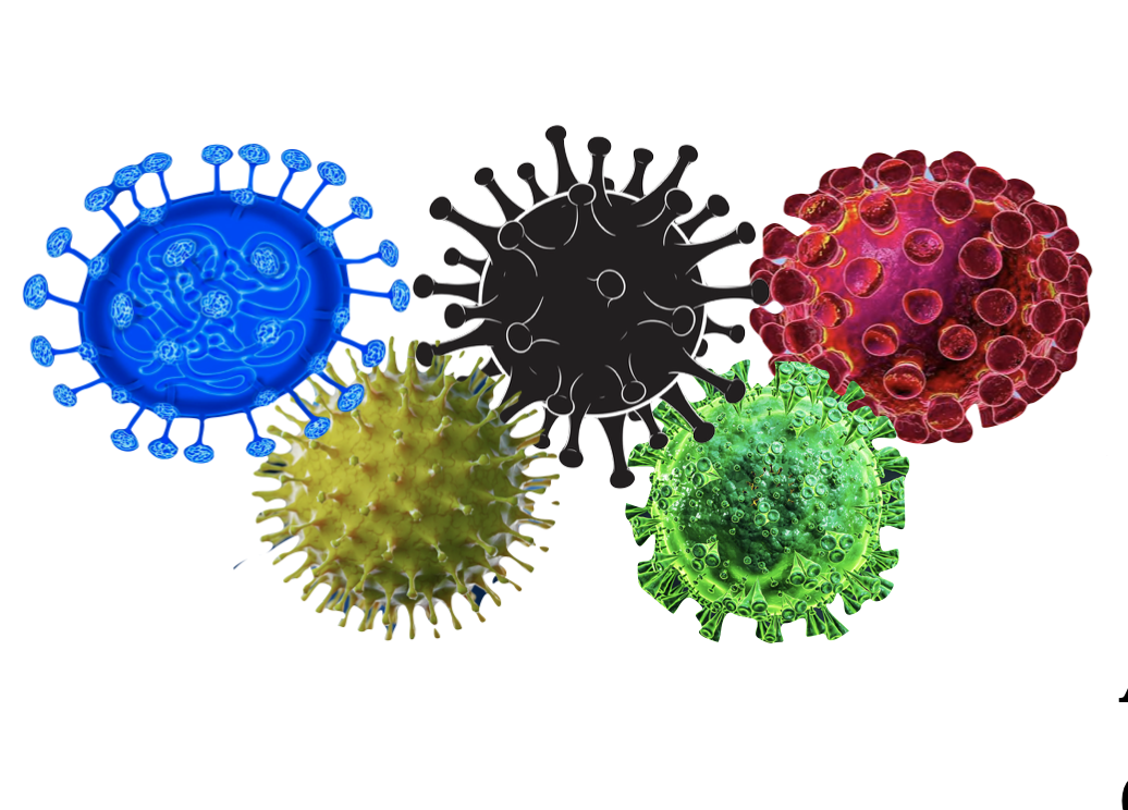 The Official Games of the 2020 Quarantine